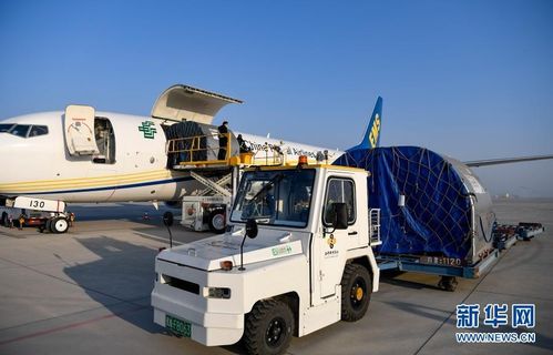 郵航首開 銀川 南京 特色農產品貨運航線